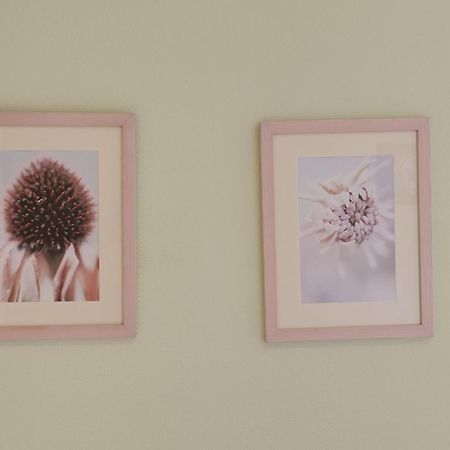 Studio Green Garden-4 By Interhome De Haan Dış mekan fotoğraf